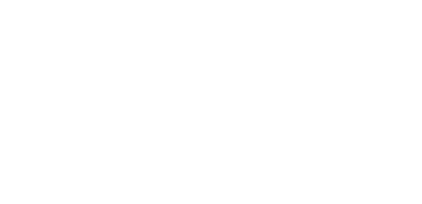 StemLink logo